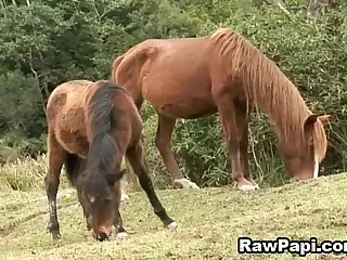 8859 gay blowjob porn videos
